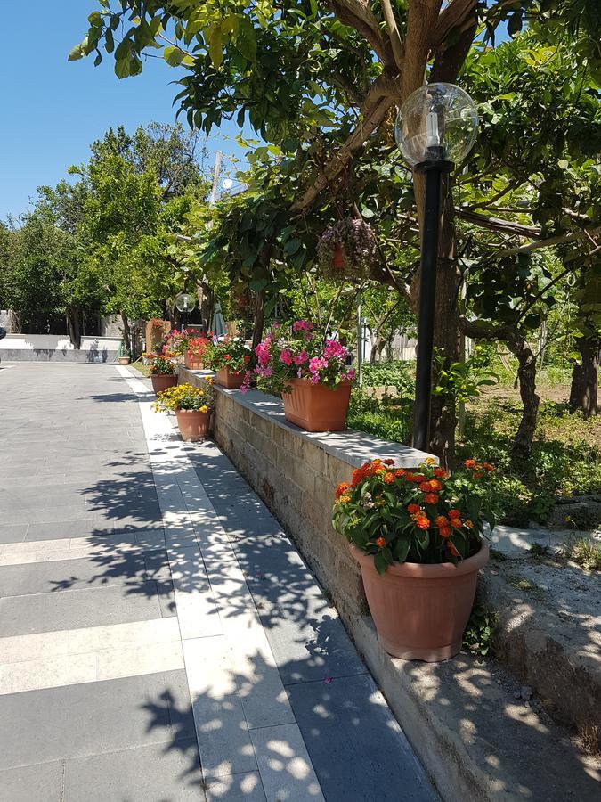 Bed and Breakfast Casa Aristide Sant'Agnello Exterior foto